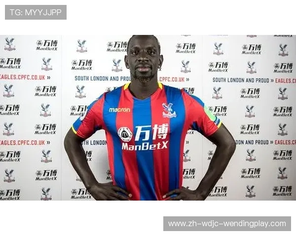 法国籍英超球员实力及影响力介绍 法国籍英超球员实力及影响力介绍